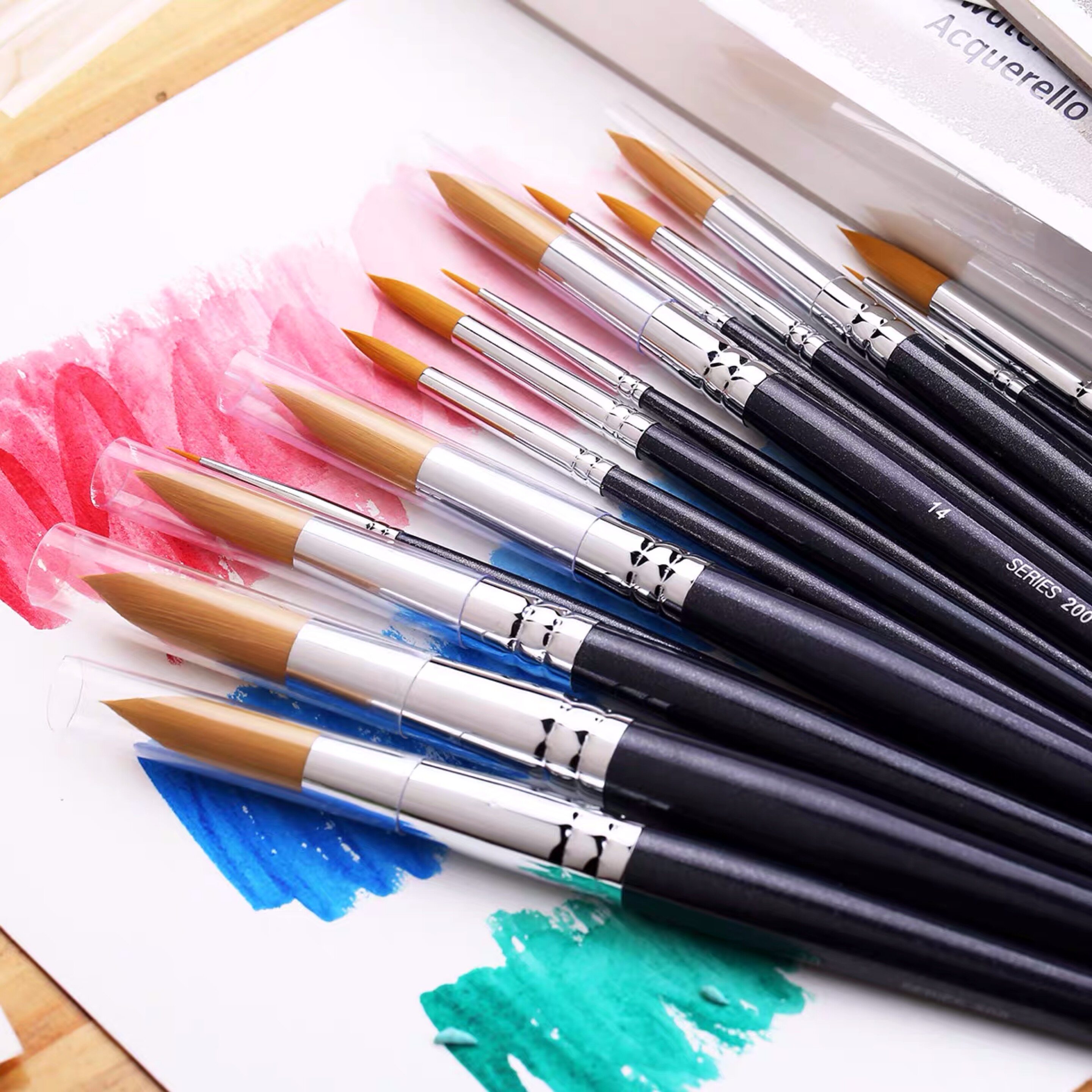 Artist Brush Set